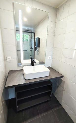 une salle de bain avec un lavabo et un miroir dans l'établissement Maison des Palmiers - Bord de mer et campagne, à Port-en-Bessin-Huppain