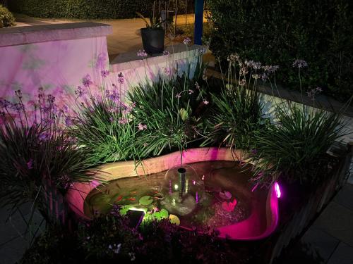 a garden with a pond with a fountain and plants at Perla D'Oriente - Affittacamere in Otranto