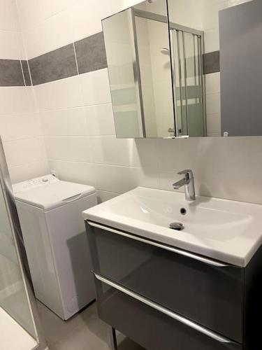 une salle de bain avec un lavabo, des toilettes et un miroir dans l'établissement Studio à 2 pas du port, à Saint-Cyprien