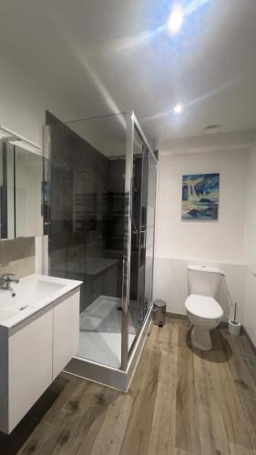 une salle de bain avec toilettes, douche et lavabo dans l'établissement Appartement T5 110 m2 climatisé neuf, à 3 minutes des plages, des rues pietonnes Arcachon, à Arcachon