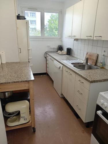 une cuisine avec un évier et un plan de travail dans l'établissement chambre double lumineuse Paris centre deux pas du métro, à Paris