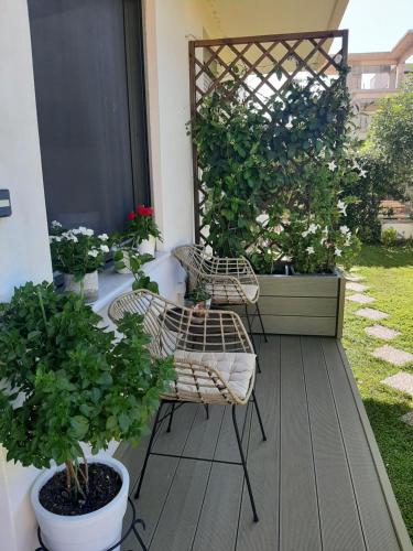 a patio with two chairs and potted plants at studio yannis leonidas in Asprókhoma