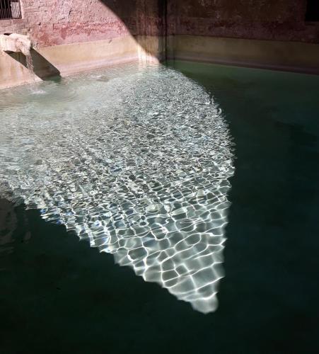 a pool of water with reflections in the water at Hotel Minerva in Siena