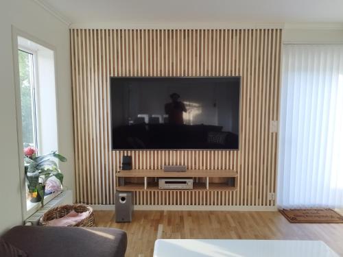 TV a/nebo společenská místnost v ubytování Villa with the garden