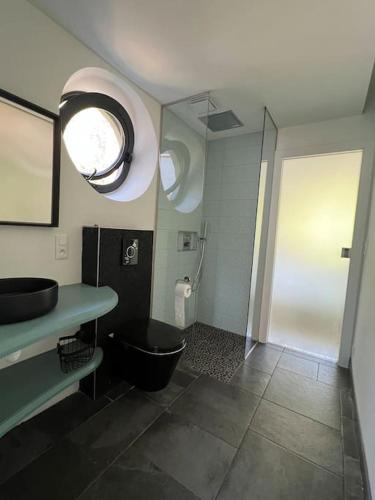 une salle de bain avec toilettes, lavabo et miroir dans l'établissement Appartement en lisière de forêt, à Wingen-sur-Moder
