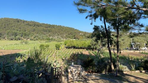 Gallery image of Camping Village San Michele in Vieste