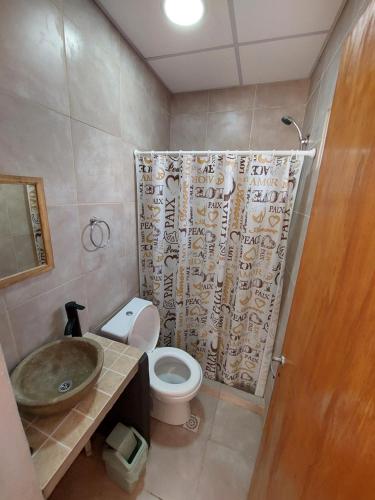 a bathroom with a sink and a toilet and a shower at Departamento Monoambiente 3 Del Sauce in Paraná