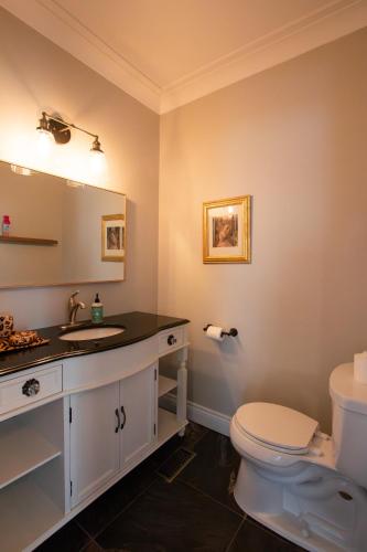 a bathroom with a toilet and a sink at Deer Run Cottage- Golf Course cottage in Kawartha Lakes
