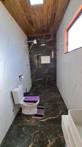 een badkamer met toilet en wastafel bij Sítio Ramos casa da montanha in Cunha