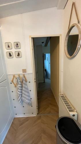 a hallway with a mirror and a hallway with towels at SAYANG26 gezellige gezinsvriendelijke stacaravan op familiecamping De Vossenburcht in natuurgebied Reestdal - no workers allowed in IJhorst