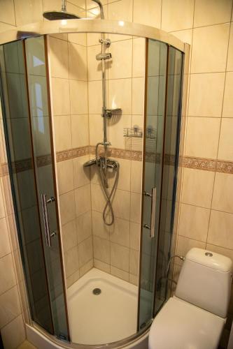a bathroom with a shower and a toilet at Ostoja in Janów Lubelski