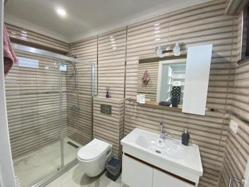a bathroom with a toilet and a sink and a shower at Sapanca Villa Dereiçi in Sapanca