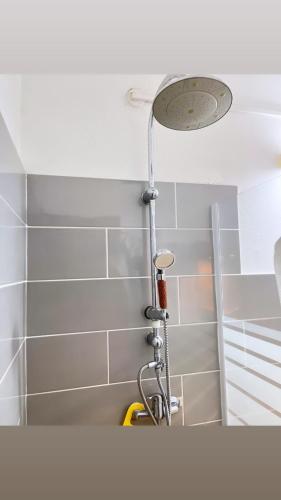 a shower in a bathroom with a shower head at Les Algues de la Chapelle in Anse-Bertrand