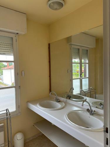 une salle de bain avec deux lavabos et deux miroirs dans l'établissement Charmante maison comme chez soi, à Saint-Amand-sur-Fion