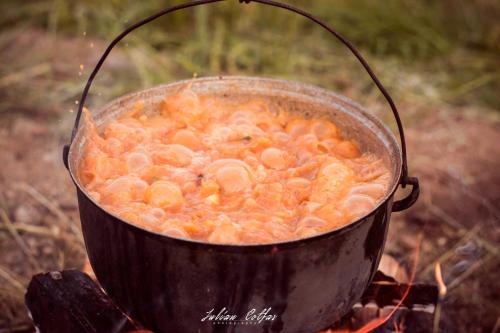 a pot of food is cooking on a campfire at Starry Night Retreat in Subcetate