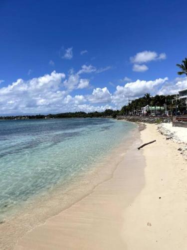 a sandy beach with the ocean and palm trees at Vue Mer Panoramique, Grande Terrasse Privée, Plage à 10 Min in Sainte-Anne