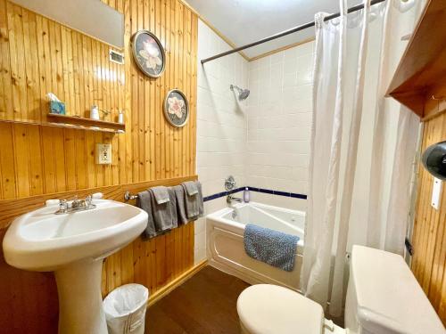 a bathroom with a sink and a toilet and a tub at Fireside Inn & Hostel in Breckenridge