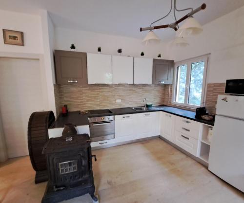 Kuchyň nebo kuchyňský kout v ubytování casa con bosco e vista mare