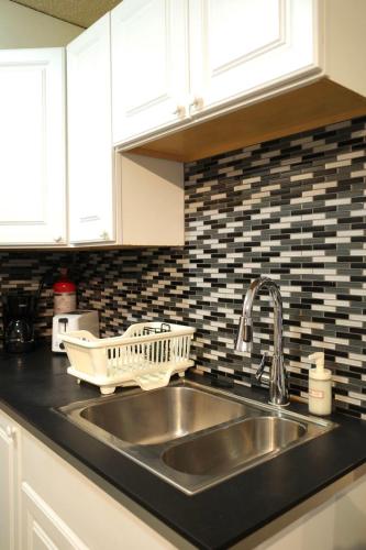a kitchen sink with a dish drying rack on it at Capilano Happylife in North Vancouver