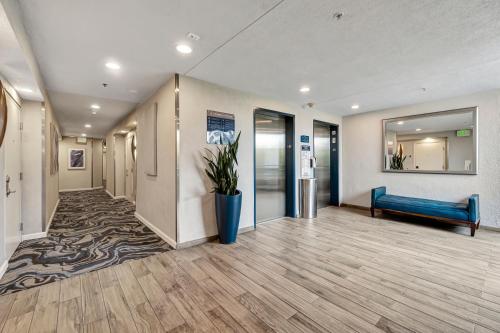a hallway of an office with a blue bench and a rug at Ocean View Hotel in Los Angeles