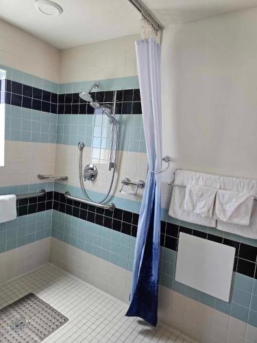 a bathroom with a shower with a blue and black tile at El Rancho Motel in Williams