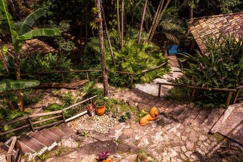 an outdoor area with plants and a garden with a tiger at Pousada Encanto das Águas in Ilhabela