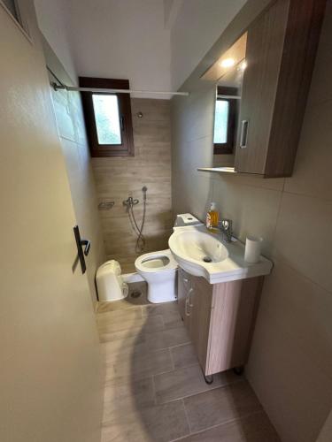 a bathroom with a sink and a toilet at Γκαρσονιέρα δίπλα στη θάλασσα. in Kómi