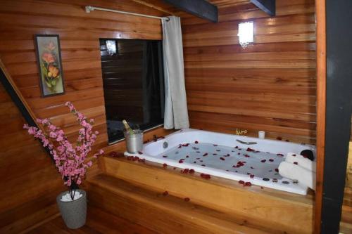 a bath tub with a panda bear sitting in it at Chalé das Laranjeiras in Planalto