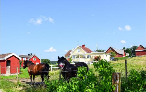 two horses standing in a field next to a fence at 2 Bedroom Nice Home In Smålandsstenar in Åtterås