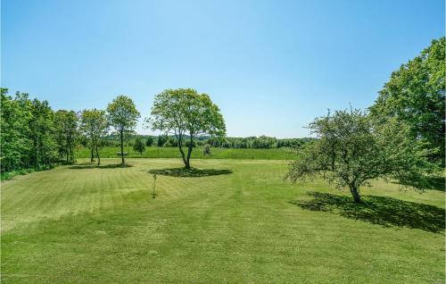 an open field with trees in the middle at Bredelykke in Gelsted