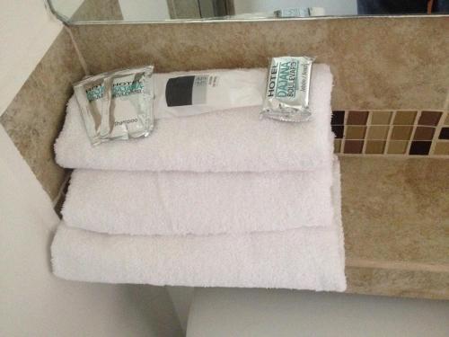 Gallery image of Hotel Dajana Boulevard in Le&oacute;n