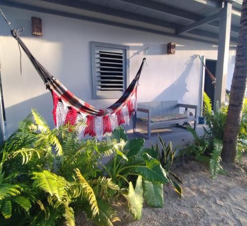 a hammock in front of a house with plants at Morada da Joana Residence in Praia de Moitas