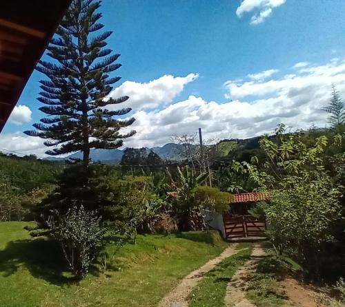 vistas a un árbol y a un camino de tierra en Pousada Paiol Grande, en São Bento do Sapucaí