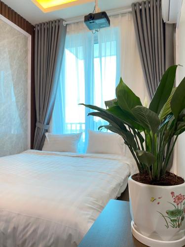 a bedroom with a bed and a plant on a table at Hanoian Hotel in Hà Ðông