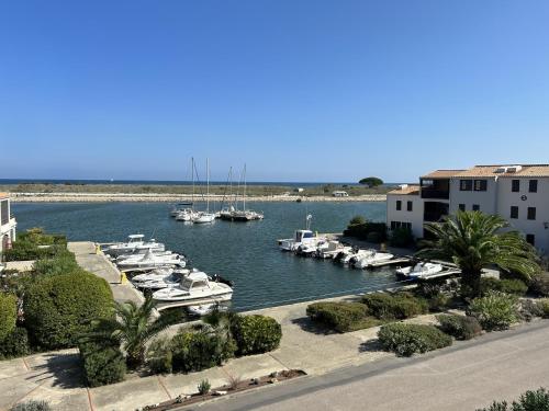 Saint-Cyprien : Studio Moderne avec Piscine et Parking - FR-1-793-13