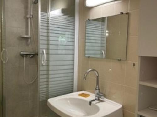 une salle de bain avec un lavabo et une douche avec un miroir dans l'établissement Saint-Cyprien: T3 en RDC, Terrasse, Parking, à 600m de la Plage - FR-1-793-15, à Saint-Cyprien