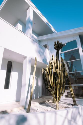 a cactus in front of a building with a sombrero at Tallows House on Paterson in Byron Bay