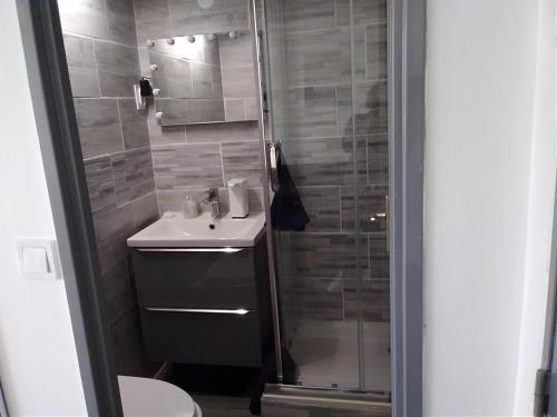 une salle de bain avec une douche, un lavabo et des toilettes dans l'établissement Gruissan - Studio rénové climatisé 2/3 pers, parking sécurisé, à 50m de la plage du Grazel - FR-1-796-16, à Gruissan