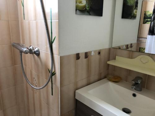 une salle de bain avec douche et lavabo dans l'établissement Saint Cyprien T2 Mezzanine 4P avec Parking, Belle vue Lagune et Mer - FR-1-793-11, à Saint-Cyprien