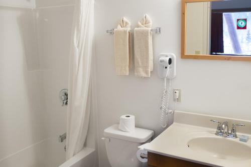 y baño con aseo, lavabo y espejo. en Northern Rockies Lodge, en Muncho Lake