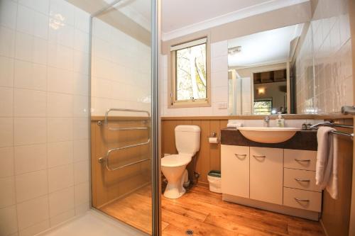 ein Badezimmer mit Toilette, Waschbecken und Dusche in der Unterkunft Autumn Leaf Cottage 1 in Harrietville