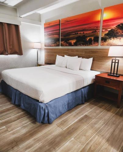 Postel nebo postele na pokoji v ubytování Days Inn by Wyndham Denver Downtown