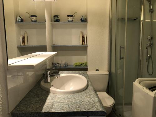 une salle de bain avec toilettes, lavabo et douche dans l'établissement Studio Cabine Climat. 4P, Proche Plage, Animaux OK - FR-1-793-23, à Saint-Cyprien