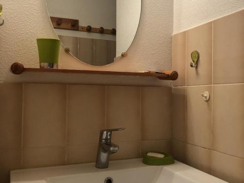 La salle de bains est pourvue d'un lavabo et d'un miroir sur une étagère. dans l'établissement Studio Alcôve 4 Pers RDC avec Parking Privé et Animaux admis à Saint-Cyprien - FR-1-793-24, à Saint-Cyprien