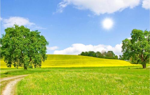 a field with two trees and a dirt road at Nice Home In Krems Iiwarderbrück in Göls