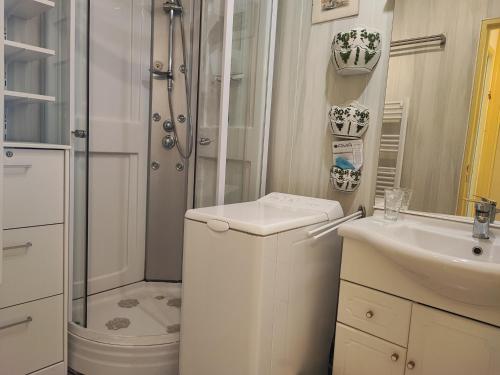 une salle de bain avec une douche, des toilettes et un lavabo dans l'établissement Studio spacieux à Gruissan - Parking - Vue port - Proche plage - FR-1-796-29, à Gruissan