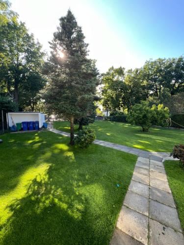 a garden with a tree and a sidewalk at Schönes 2 Zimmer Apartment an der Stadt Grenze mit Klimaanlage in Blankenfelde
