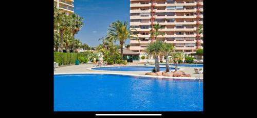 Bazén v ubytování Elite Apartments in Calpe nebo v jeho okolí