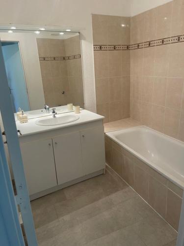 une salle de bain avec un lavabo, une baignoire et un miroir dans l'établissement Escapade en Camargue, à Port-Saint-Louis-du-Rhône