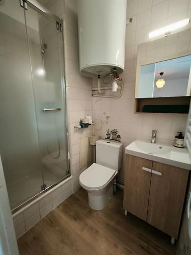 une salle de bain avec une douche, des toilettes et un lavabo dans l'établissement Studio Elie, à Grenoble